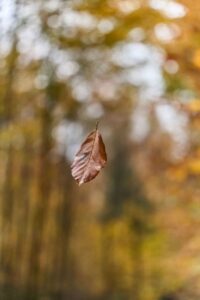 Navigating Life Transitions: How to Stay Grounded Through Changes